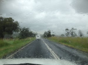 IMG_4117 (FILEminimizer)