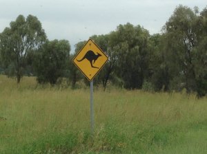 IMG_4121 (FILEminimizer)