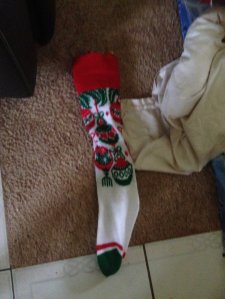 IMG_4186 (FILEminimizer)