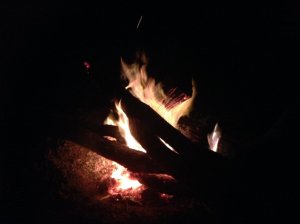 IMG_4246 (FILEminimizer)