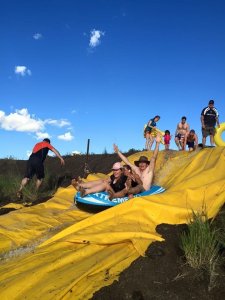 IMG_4256 (FILEminimizer)