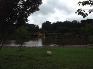 IMG_4319 (FILEminimizer)