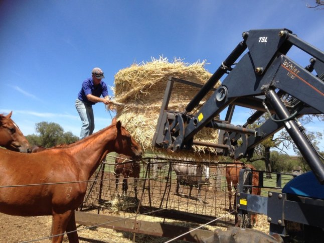 IMG_4355 (FILEminimizer)