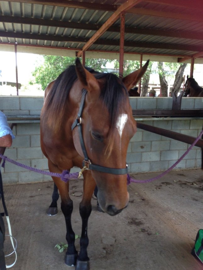 IMG_4398 (FILEminimizer)