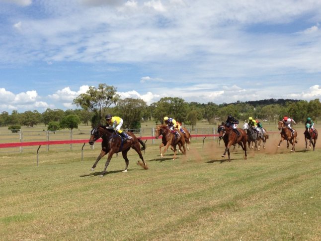 IMG_4425 (FILEminimizer)