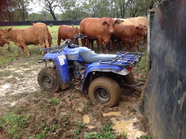 IMG_4464 (FILEminimizer)