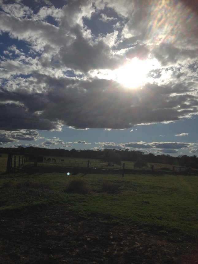 IMG_4496 (FILEminimizer)