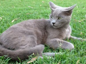 IMG_4551 (FILEminimizer)