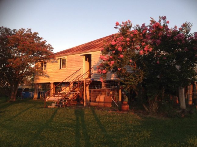 IMG_4621 (FILEminimizer)