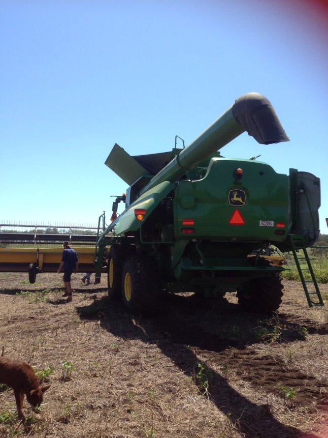 IMG_4642 (FILEminimizer)