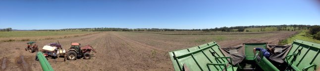 IMG_4647 (FILEminimizer)