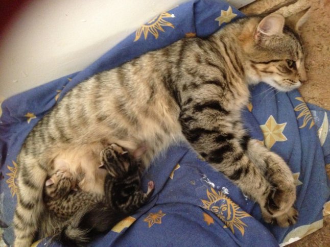 IMG_4656 (FILEminimizer)