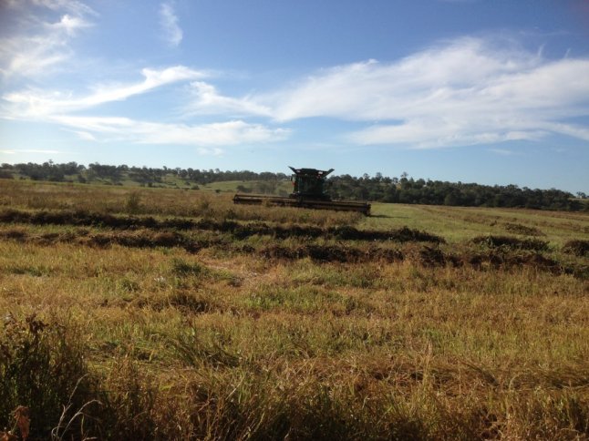 IMG_4718 (FILEminimizer)