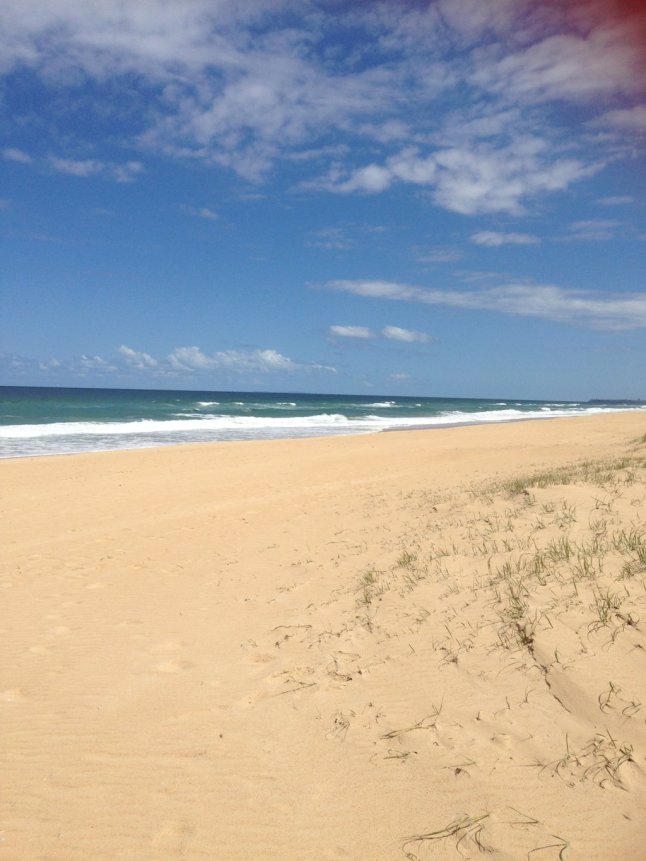 IMG_4868 (FILEminimizer)