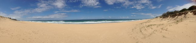 IMG_4870 (FILEminimizer)