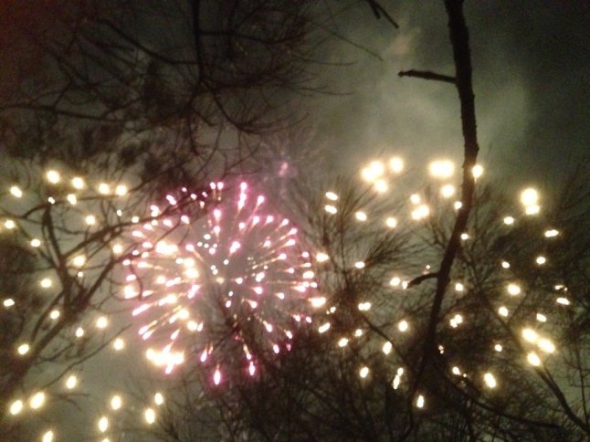 IMG_5026 (FILEminimizer)