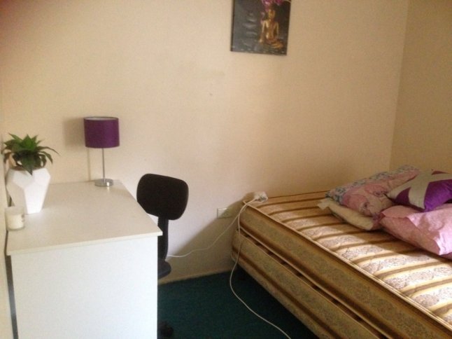 IMG_5084 (FILEminimizer)