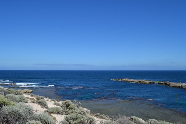 DSC_0002 (FILEminimizer)