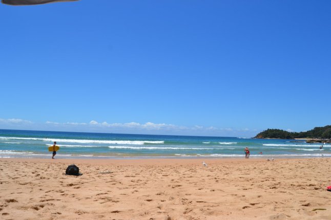 DSC_0003 (FILEminimizer)