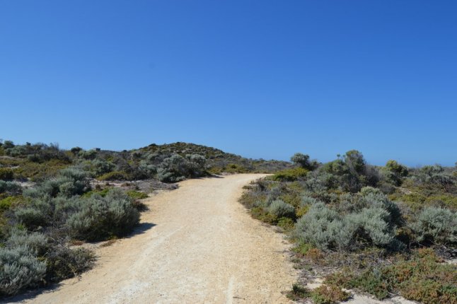 DSC_0005 (FILEminimizer)