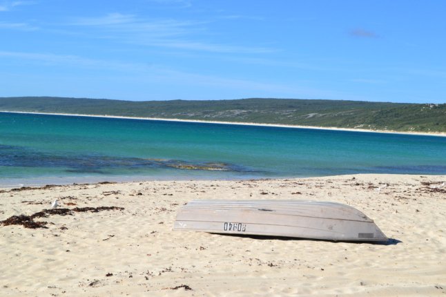 DSC_0006 (FILEminimizer)