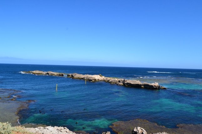 DSC_0010 (FILEminimizer)