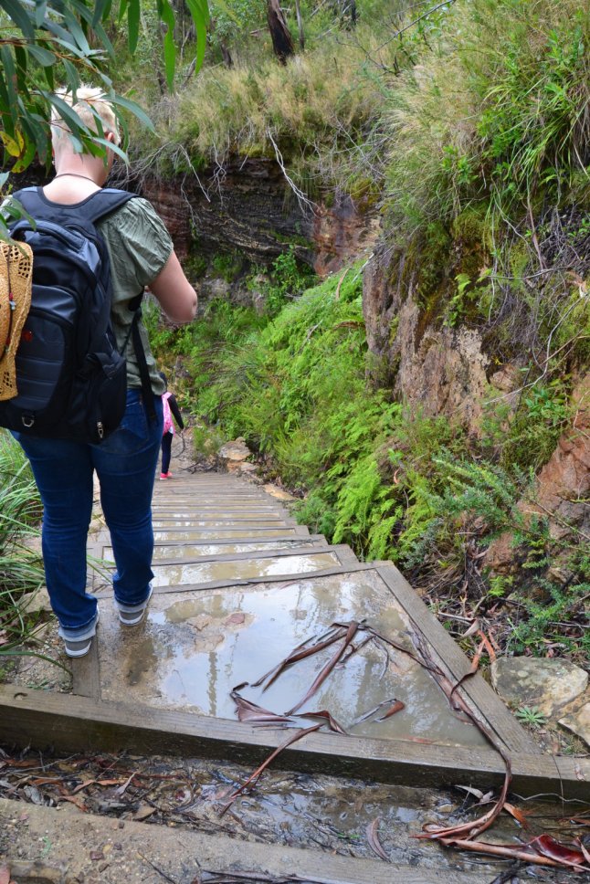 DSC_0017 (FILEminimizer)