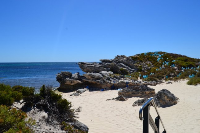 DSC_0026 (FILEminimizer)