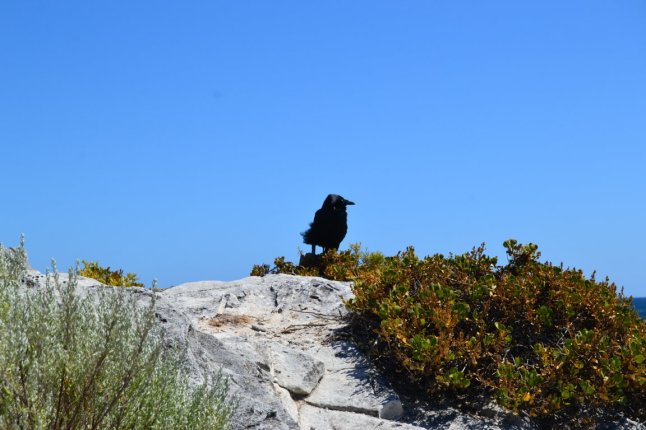 DSC_0027 (FILEminimizer)