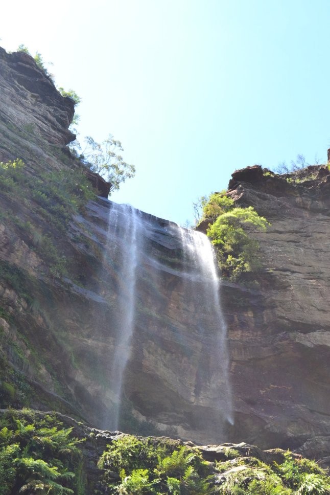 DSC_0032 (FILEminimizer)