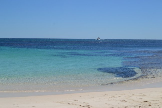 DSC_0034 (FILEminimizer)