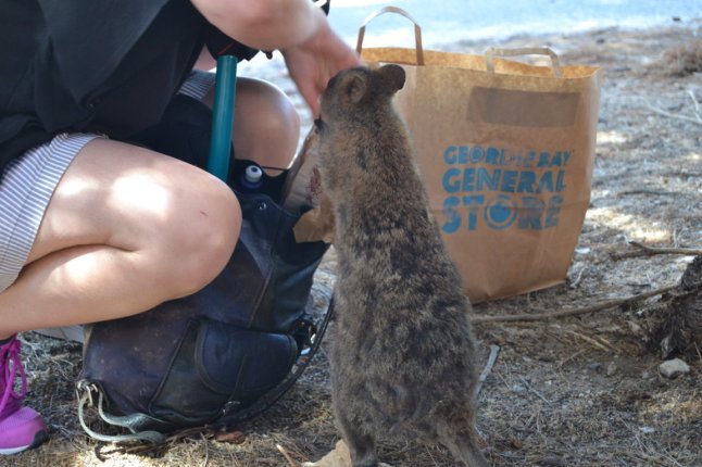 DSC_0047 (FILEminimizer)