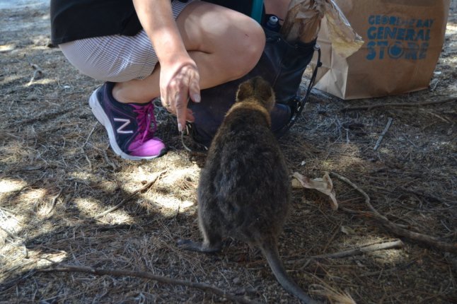 DSC_0048 (FILEminimizer)