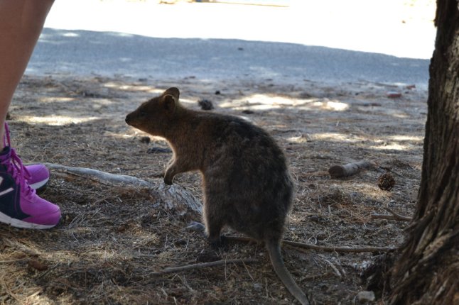 DSC_0056 (FILEminimizer)