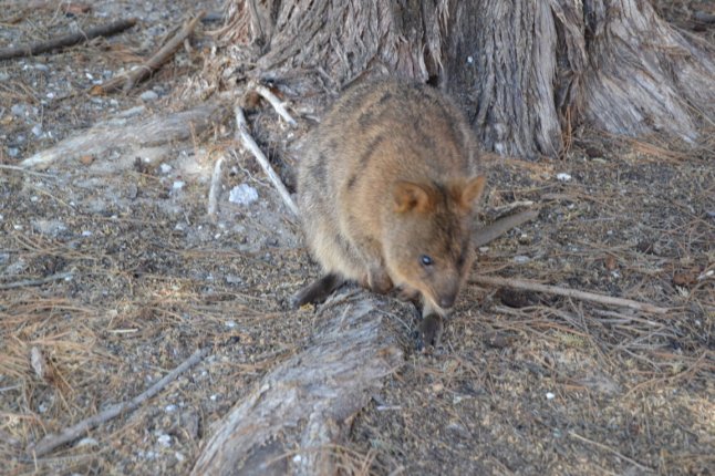 DSC_0058 (FILEminimizer)