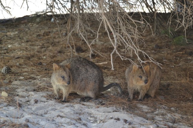 DSC_0063 (FILEminimizer)