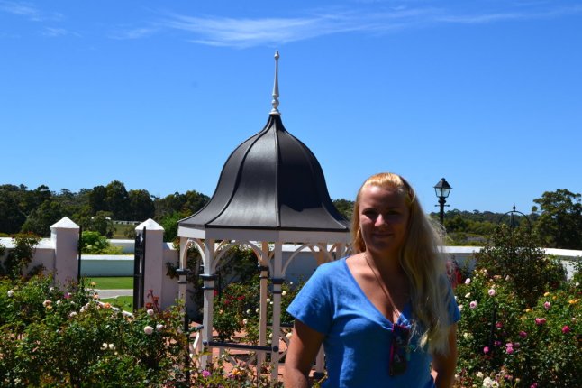 DSC_0072 (FILEminimizer)