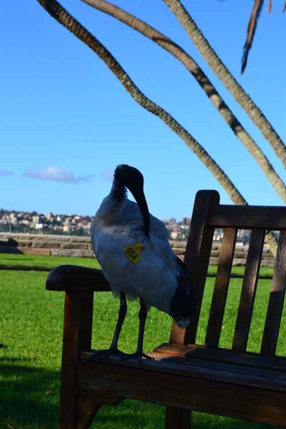 DSC_0077 (FILEminimizer)