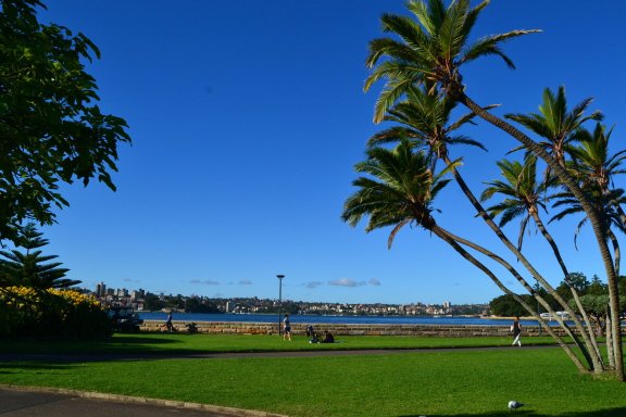 DSC_0079 (FILEminimizer)