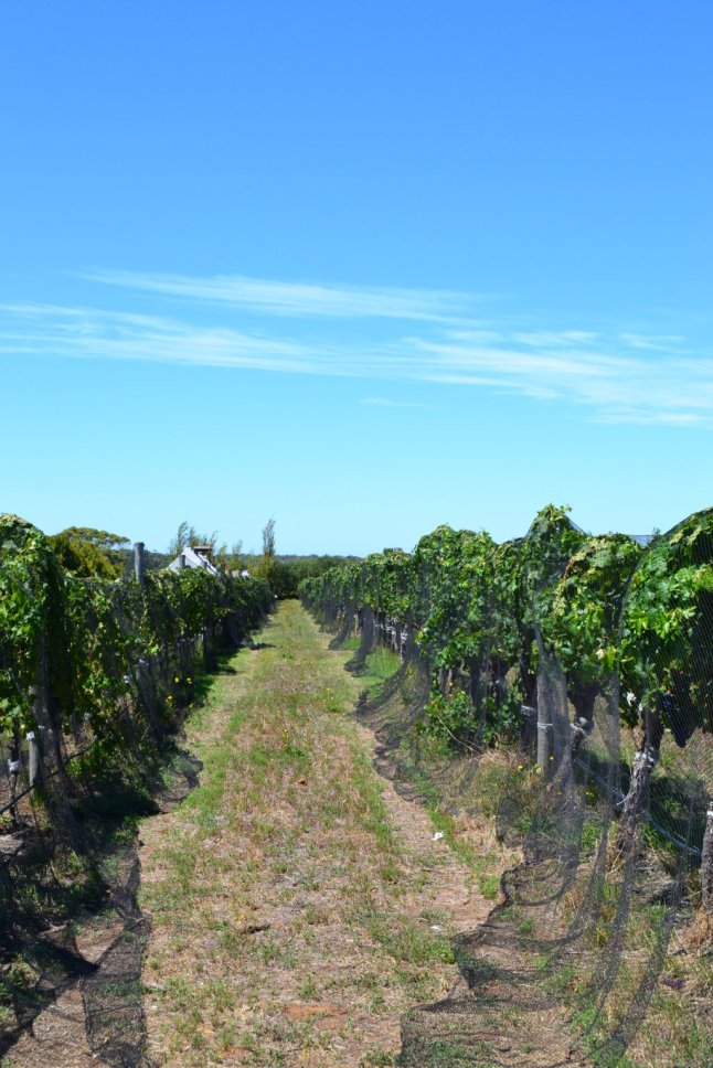 DSC_0089 (FILEminimizer)