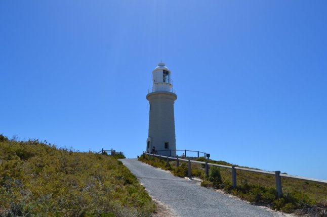 DSC_0094 (FILEminimizer)