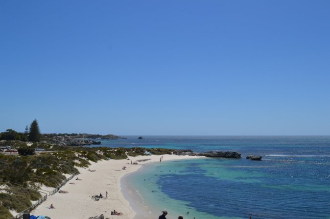 DSC_0096 (FILEminimizer)