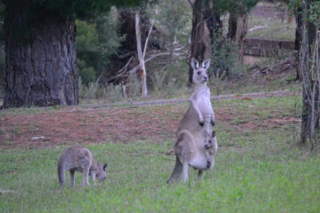 DSC_0108 (FILEminimizer)