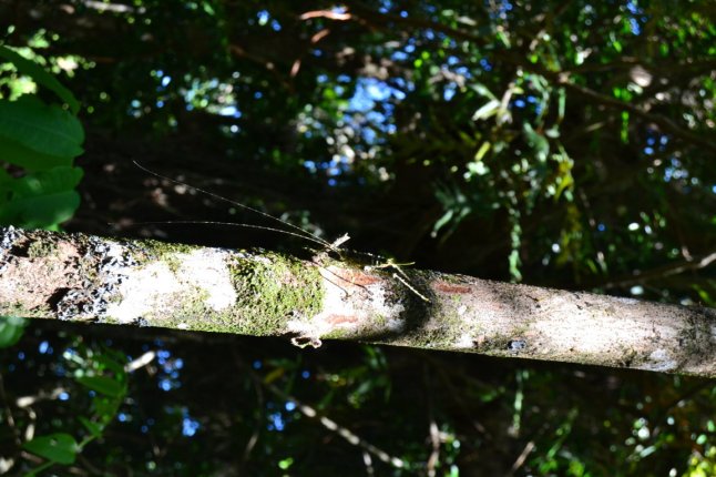 DSC_0108 (FILEminimizer)