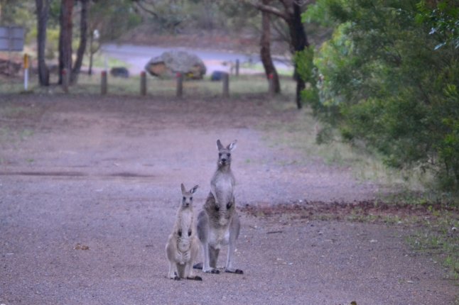 DSC_0110 (FILEminimizer)