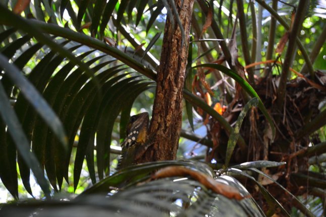 DSC_0110 (FILEminimizer)