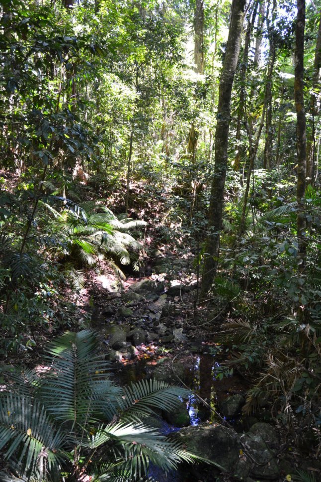 DSC_0111 (FILEminimizer)