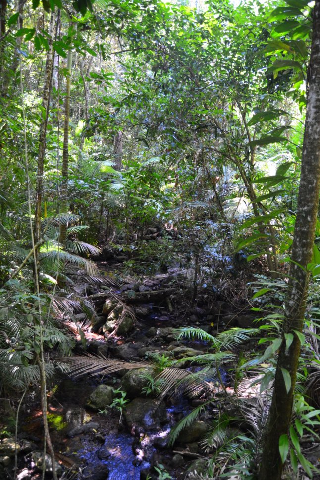 DSC_0112 (FILEminimizer)