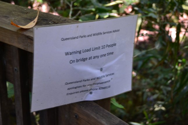 DSC_0113 (FILEminimizer)