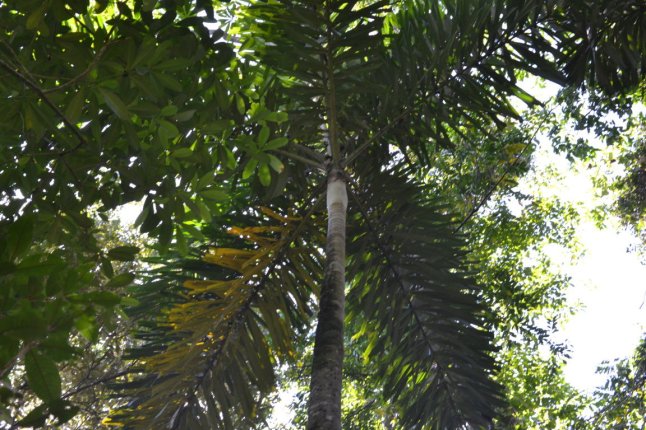 DSC_0120 (FILEminimizer)